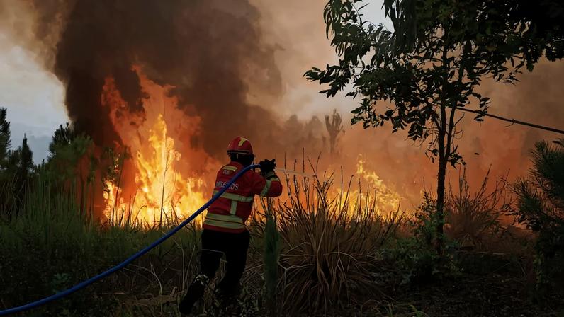 Segredo do cofre gigante do país revela detalhes