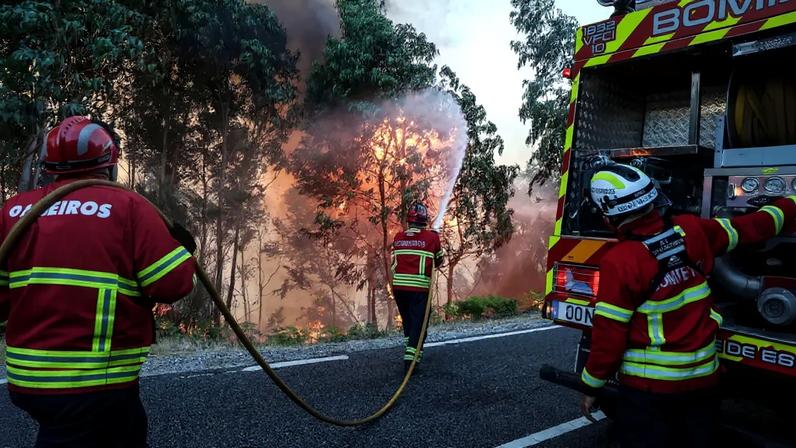 Bombeiros durante o combate ao incêndio florestal em Vouzela