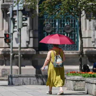 Quase metade das estações abaixo de Santarém registaram mais de 40°C