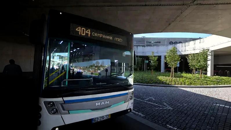 O Parque da Cidade do Porto é um dos locais disponíveis para se abrigar do calor