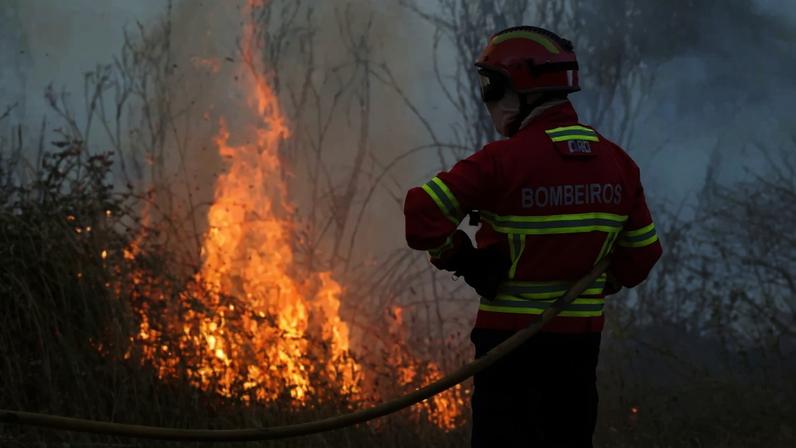 Os mais de sete mil hectares correspondem a cerca de 10 mil campos relvados de futebol de 11