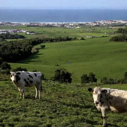 Sismo de 3,8: abala as ilhas do Pico, Faial e São Jorge