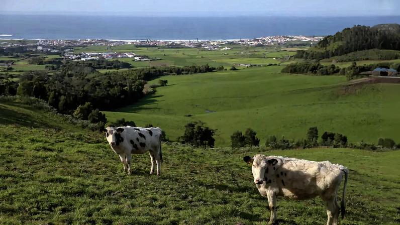 Um sismo de magnitude 3,8 na escala de Richter foi sentido nas ilhas do Pico, Faial e São Jorge, nos Açores