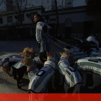 Cães de La Perroneta vestem-se a rigor para apoiar a seleção argentina no Mundial