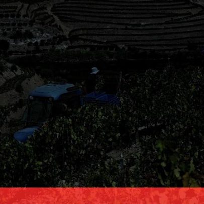 Douro & Porto Wine Festival regressa a 2 e 3 de julho de 2027