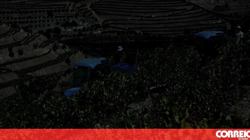 Douro & Porto Wine Festival regressa a 2 e 3 de julho de 2027