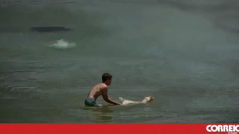 Criança filmada em Lisboa a tentar afogar cão