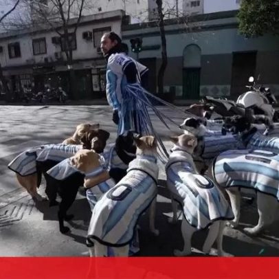 Cães vestidos a rigor apoiam a seleção argentina no Mundial