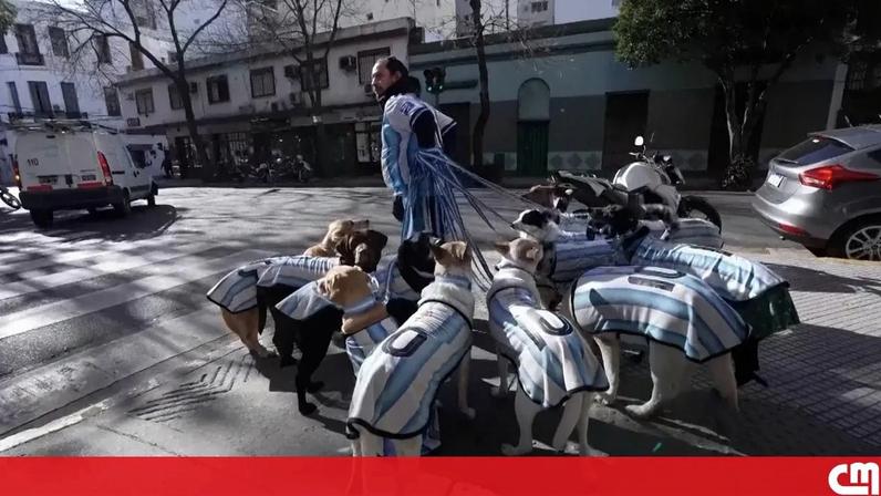 “La Perroneta”: estes cães vestem-se a rigor para apoiar a seleção Argentina no Mundial