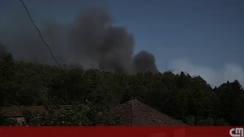 Meios aéreos entram em ação para combater incêndios em Tondela