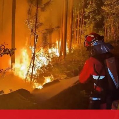 Unidade Militar de Emergências de Espanha mostra combate a fogo em Portugal