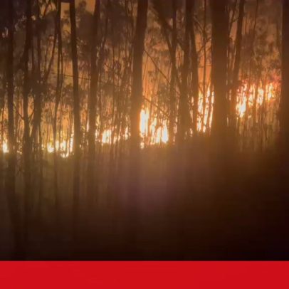 Frente de incêndio em Santo Tirso ameaçou habitações durante a noite