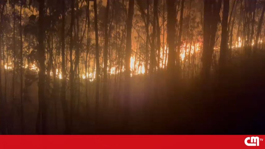 Frente de incêndio em Santo Tirso ameaçou habitações durante a noite