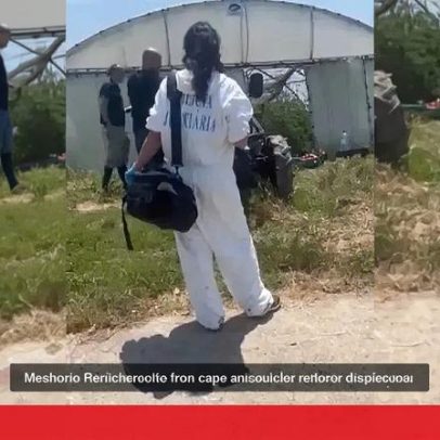 Duas irmãs são encontradas mortas em estufa agrícola na Póvoa de Varzim