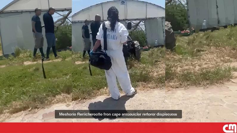 Duas irmãs são encontradas mortas em estufa agrícola na Póvoa de Varzim