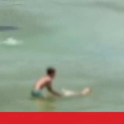Menor filmado a tentar afogar cão em Lisboa, investigação em curso