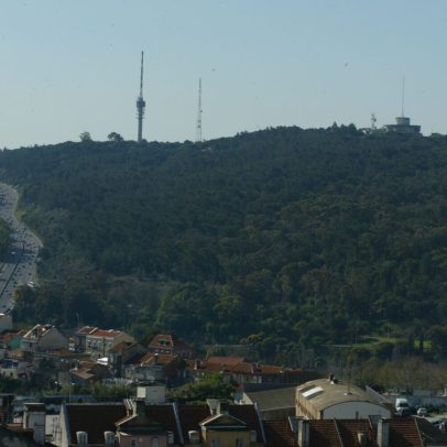 Lisboa encerra 13 espaços florestais por risco de fogo