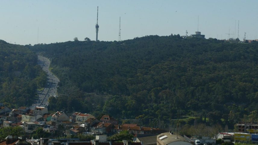 Parque Florestal de Monsanto