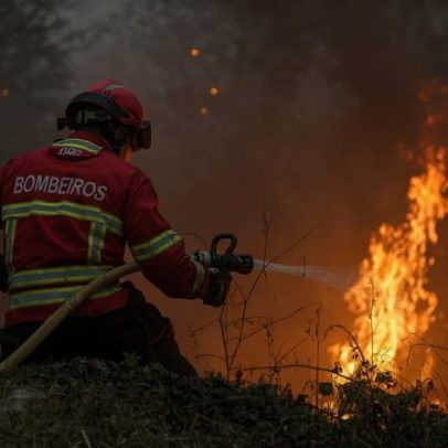 Quase todo o território em perigo máximo e muito elevado de incêndio