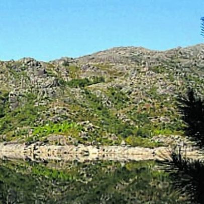 Dezenas em área proibida do Gerês preocupam autoridades com incêndios
