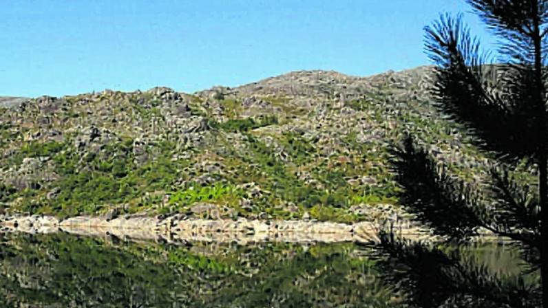 Dezenas em área proibida do Gerês preocupam autoridades com incêndios