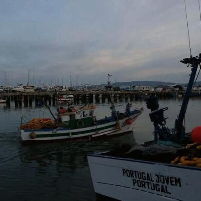 Interdição da pesca de linguado entra em vigor segunda-feira