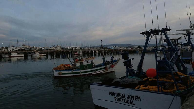 Interdição da pesca de linguado entra em vigor segunda-feira