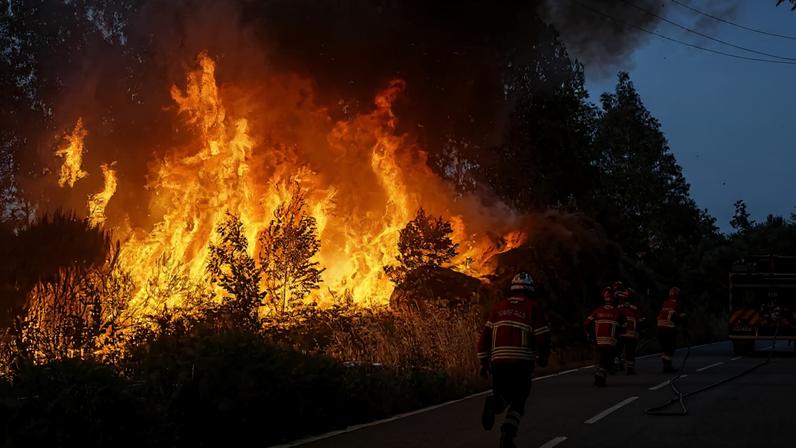 Incêndio em Vouzela