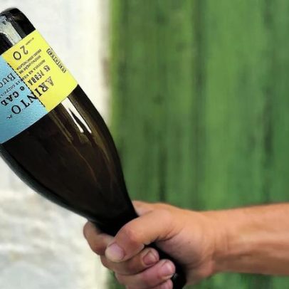 Lés a Lés: enólogos viajantes exploram vinhos e vinhedos