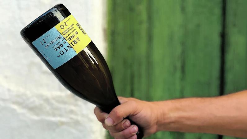 Lés a Lés: enólogos viajantes exploram vinhos e vinhedos