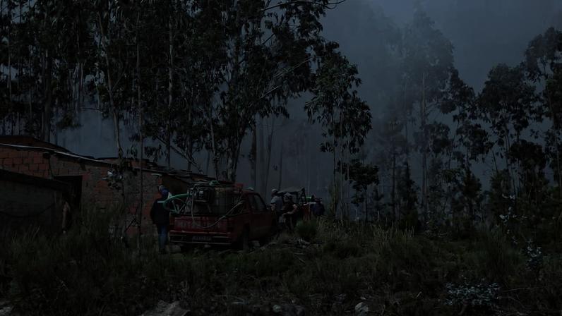 Imagens mostram nuvem de fumo provocada pelo incêndio em Tondela
