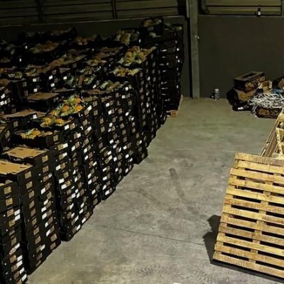 Autoridades pedem pena pesada em caso de tráfico de cocaína em Ananases
