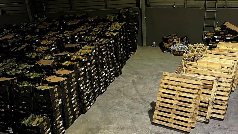 Autoridades pedem pena pesada em caso de tráfico de cocaína em Ananases