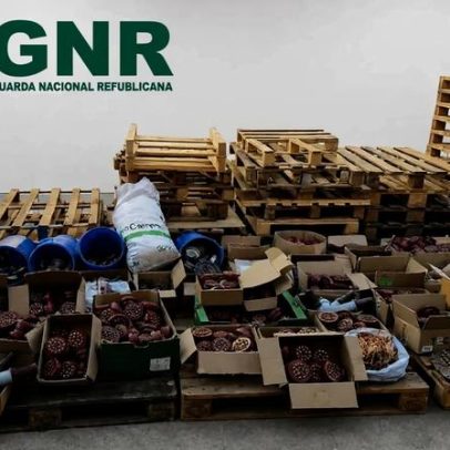 Quatro detidos pela GNR por furtos de metais em Estarreja