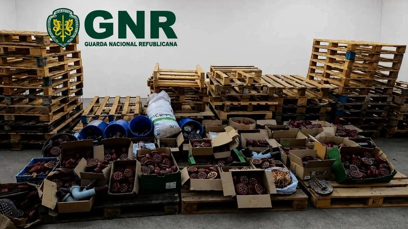 Quatro detidos pela GNR por furtos de metais em Estarreja